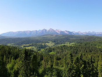 filmowanie nieruchomości